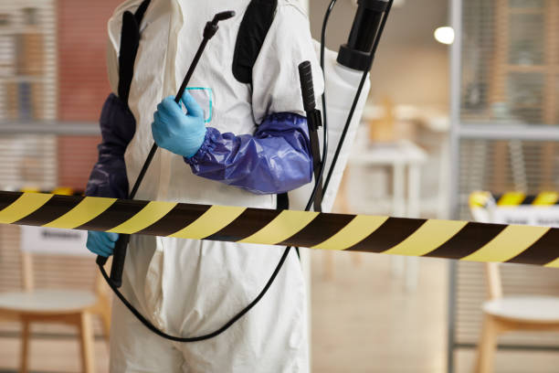 Professional Sewage Cleanup technician working in Chatsworth, IL